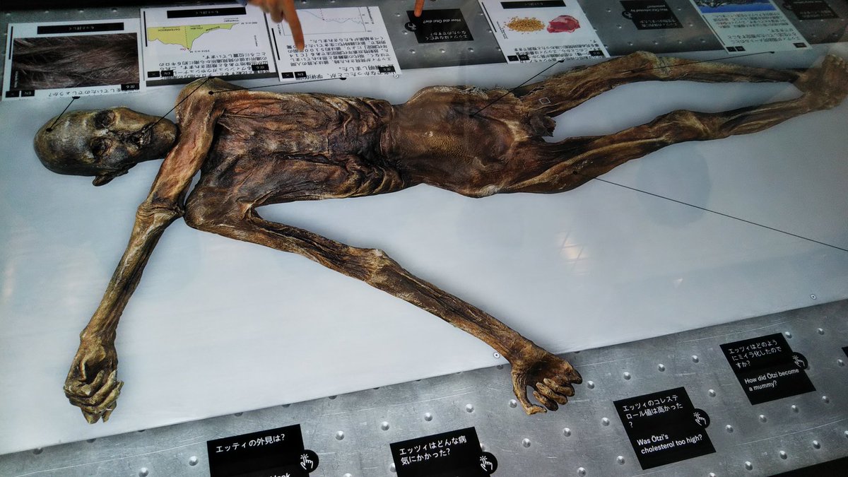 ゴルよし ミイラ展行って来ました 即身仏は圧巻 ミイラ展 T Co Mc7fyyf8pn Twitter