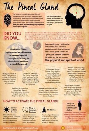 The pineal gland in the center of your brain is often referred as the “seat of the soul” “the third eye”, your third chakra, is believed to be the way to higher consciousness