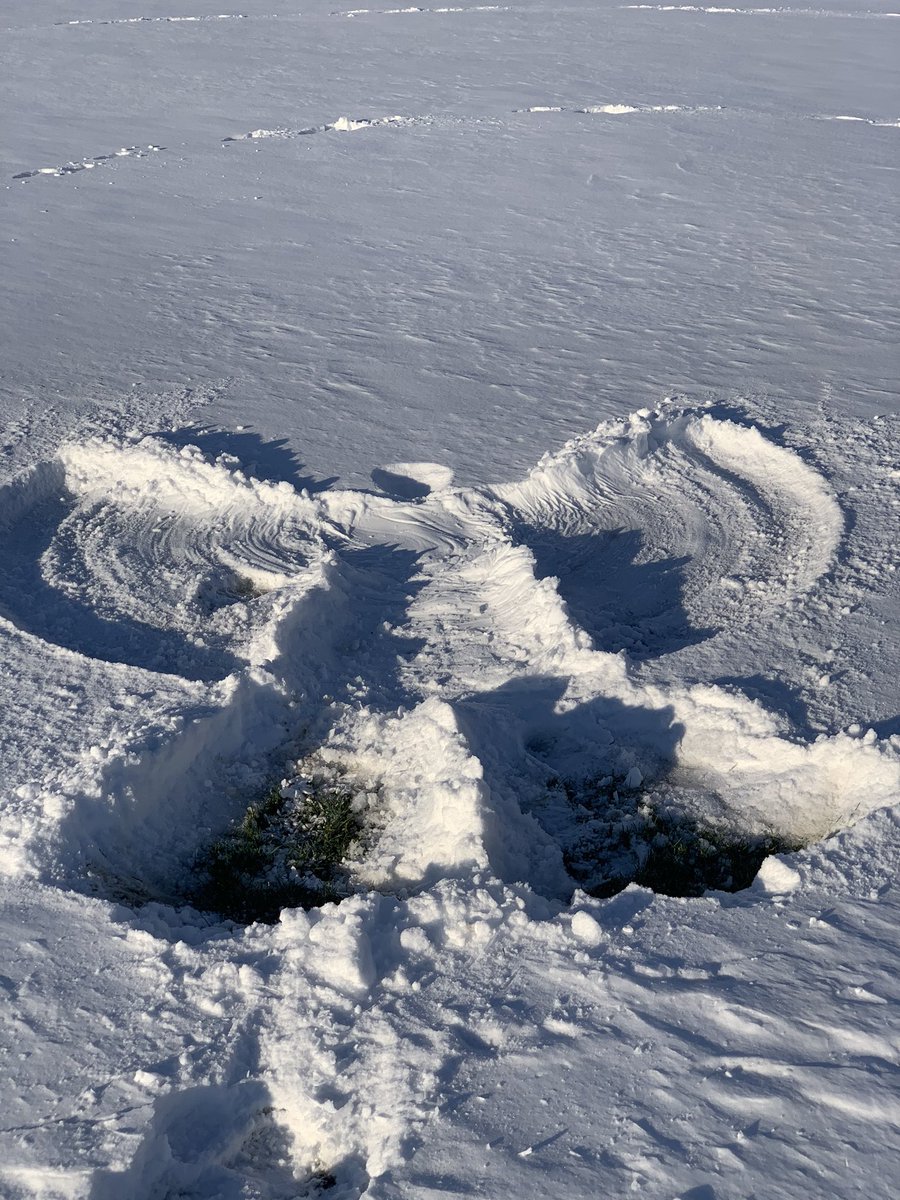 BrewskiSlug's tweet photo. Dad may be old but he can still  be a kid.  #SnowAngel. #snow https://t.co/AlA4vKSHjR
