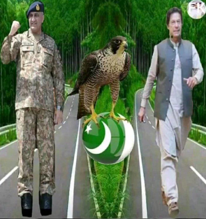 یہ تصویر بہت سارے نون لیگیوں کو جلا کر راکھ کر دے گی پلیز لائک اور ریٹوئٹ کر دیں شکریہ