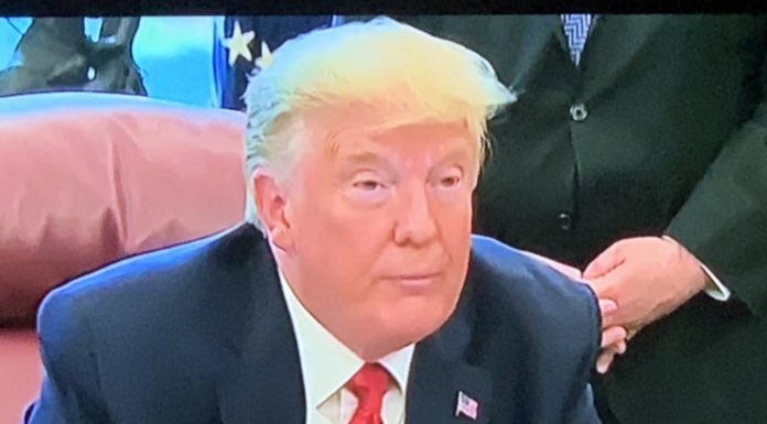 MysterySolvent's tweet photo. Trump’s hair was a new color today. What is it called? https://t.co/nVRz2ak87S