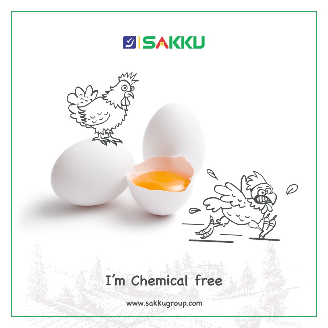 SakkuEggs's tweet image. Sakku eggs are antibiotic residue free and no chemical pesticides are administered to the hens.
#eggsforgoodhealth #eggsforimmunity #vitaminD3 #D3eggs #countryeggs #eggforimmunity
For Franchise details call on : 8008499799
--&amp;gt;&amp;gt;sakkugroup.com