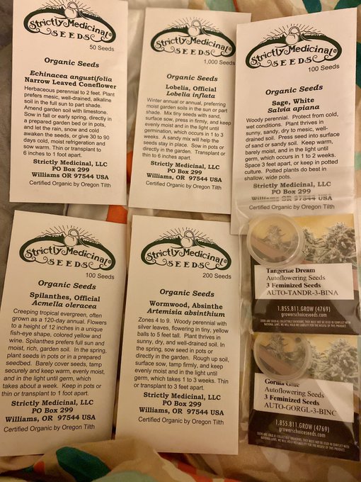 Ermmmgoooo. My seeds came in, im so excited!! I can&rsquo;t wait to get into my new place and start getting<a href="/tag/foodporn"class="tags"><span>#foodporn</span></a><a href="/tag/yum"class="tags"><span>#yum</span></a><a href="/tag/in"class="tags"><span>#in</span></a><a href="/tag/dig"class="tags"><span>#dig</span></a><a href="/tag/tastey"class="tags"><span>#tastey</span></a><a href="/tag/onlyfans"class="tags"><span>#onlyfans</span></a><a href="/tag/fr"class="tags"><span>#fr</span></a>