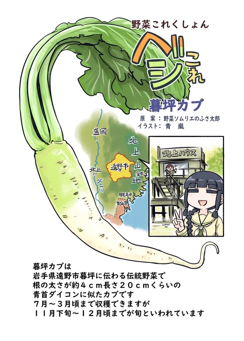 野菜これくしょん ベジこれ 第11弾 暮坪カブ編 1/2
今回も野菜ソムリエのふさ太郎さん 
@yukimifusa
との合作でお送りいたします。 