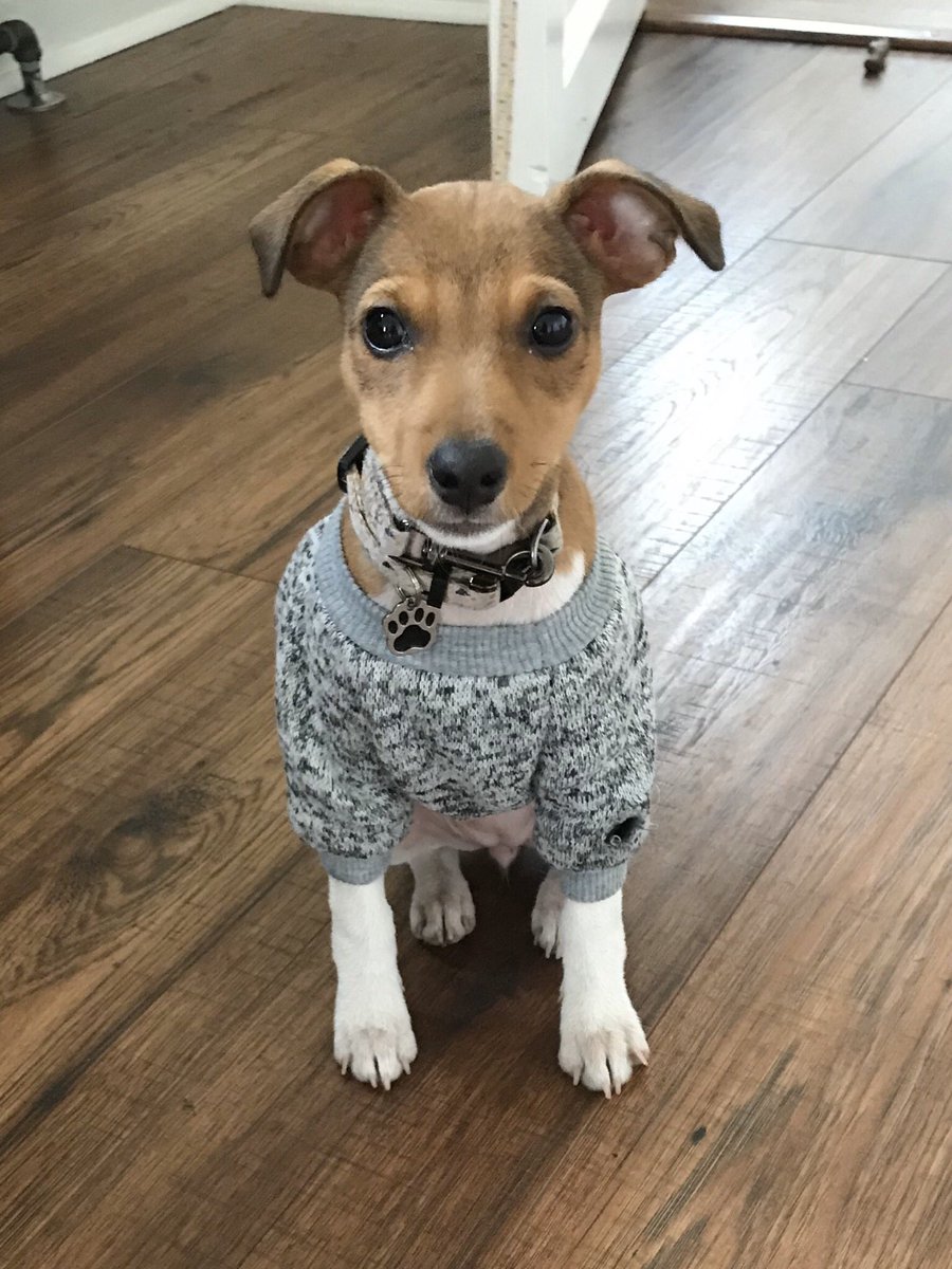 Justin MacFayden tweet media