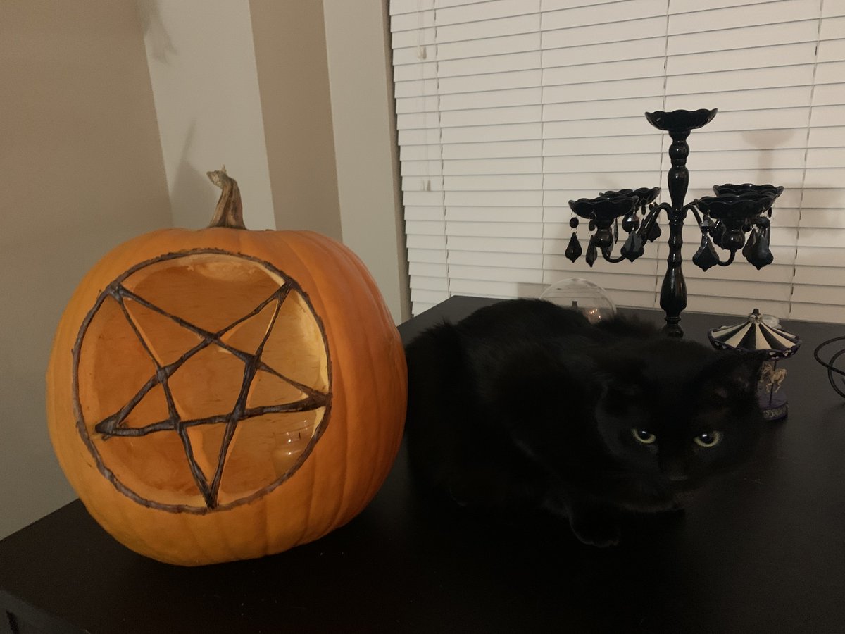 kidquasar's tweet photo. Even though Dragon is a good boy, he sometimes acts like he’s too cool. #heisthough #hailsatan @ChurchofSatan #halloween #jackolantern #pumpkin #atheism https://t.co/EtREcNmlxk