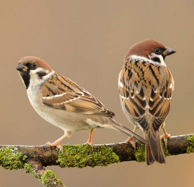 Francis92094414's tweet photo. Hey check this out https://t.co/sLHjSLkC5U https://t.co/KjLjzXZ4Ec