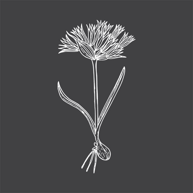 MagPunctuate's tweet image. Chimamanda Ngozi Adichie in We Should All Be Feminists:
"Many stories matter. Stories have been used to dispossess and to malign. But stories can also be
used to empower, and to humanize. Stories can break the dignity of a people. But stories can also
repair that broken dignity"