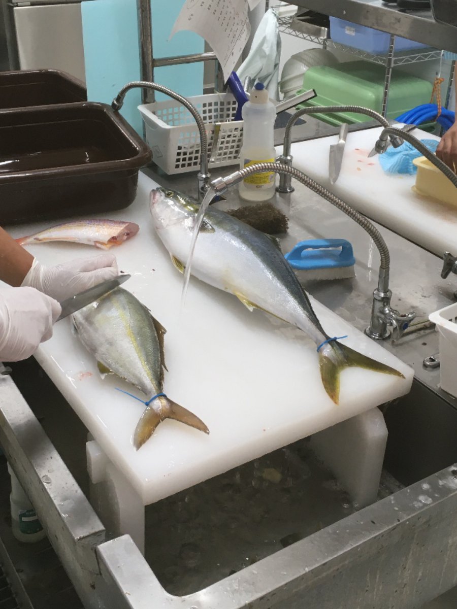 釣太郎 和歌山県 白浜 みなべ 釣エサ 釣り道具 Ar Twitter 本日も釣太郎キッキン営業中 捌いている魚はメジロです 魚 青物 メジロ 捌く キッチン 釣り 釣太郎 和歌山県 白浜 みなべ 釣エサ 釣り道具 Ar Twitter 本日も釣太郎キッキン営業中 捌いている魚はメジロです 魚 青物 メジロ 捌く キッチン 釣り
