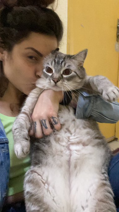 Oooo sugar cat https://t.co/D0xPQvn3KT