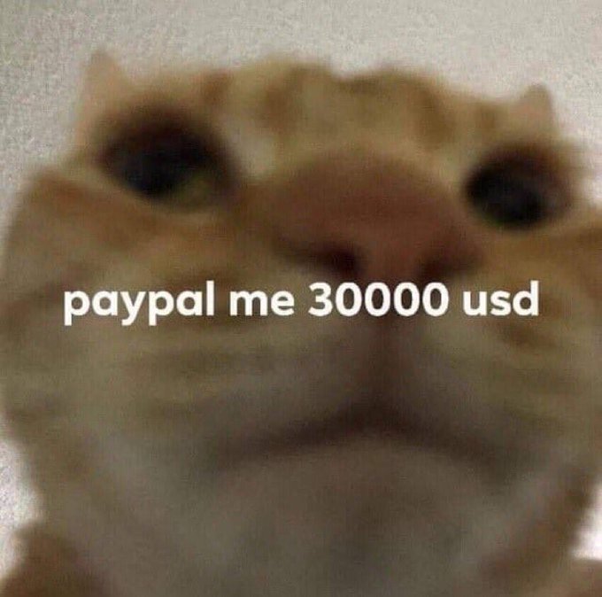 ChefCatRawr's tweet photo. fuck this i'm leaving twitter https://t.co/FrYwAjxifG