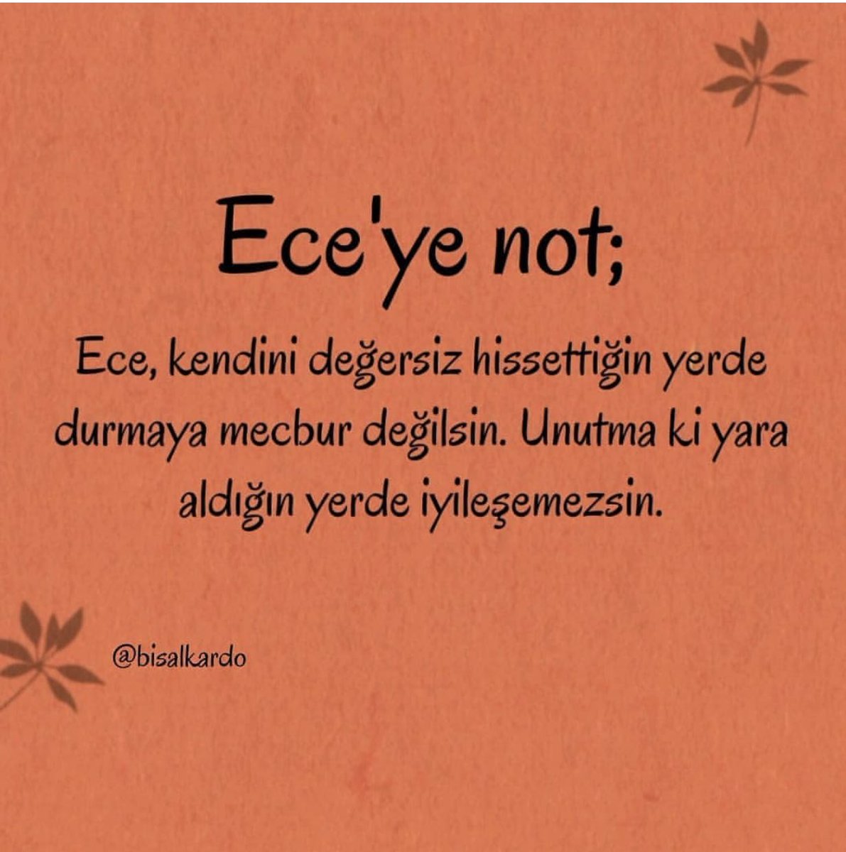eceerdeemmm's tweet photo. https://t.co/XRghqXtqOv