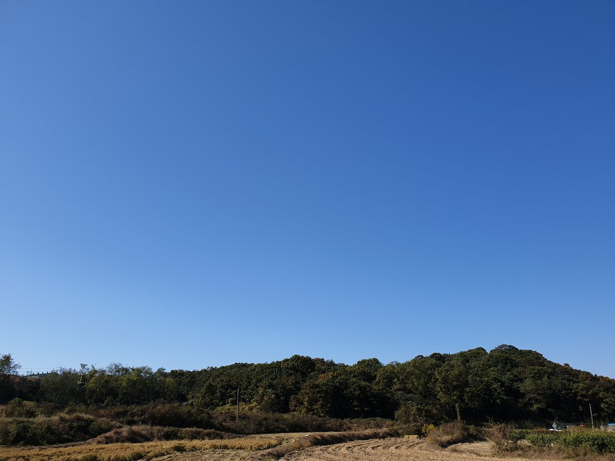 파란 하늘 (@sweetloa4) on Twitter photo 