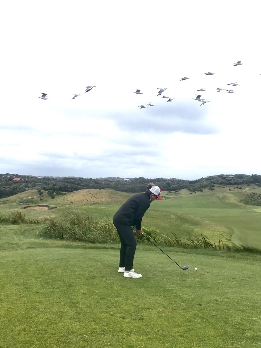 nonsensiblekate's tweet image. Geezer lining up to hit a birdie #dadjokes #howgoodisgolf
