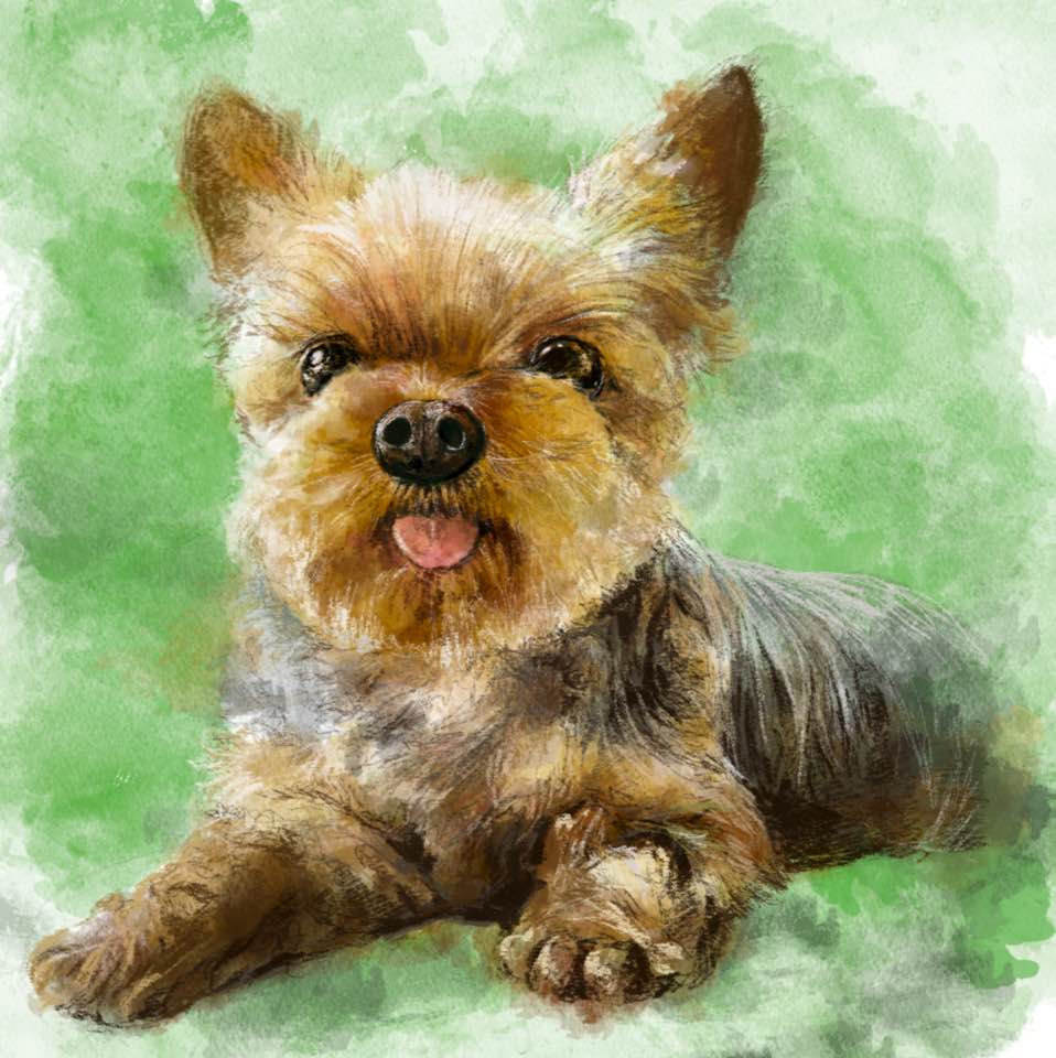 mellzzcraft's tweet photo. Another sample painting to be ready soon! One more week!!

#pet #portrait #pet_portrait #watercolor #etsy https://t.co/jQfrl7arzr