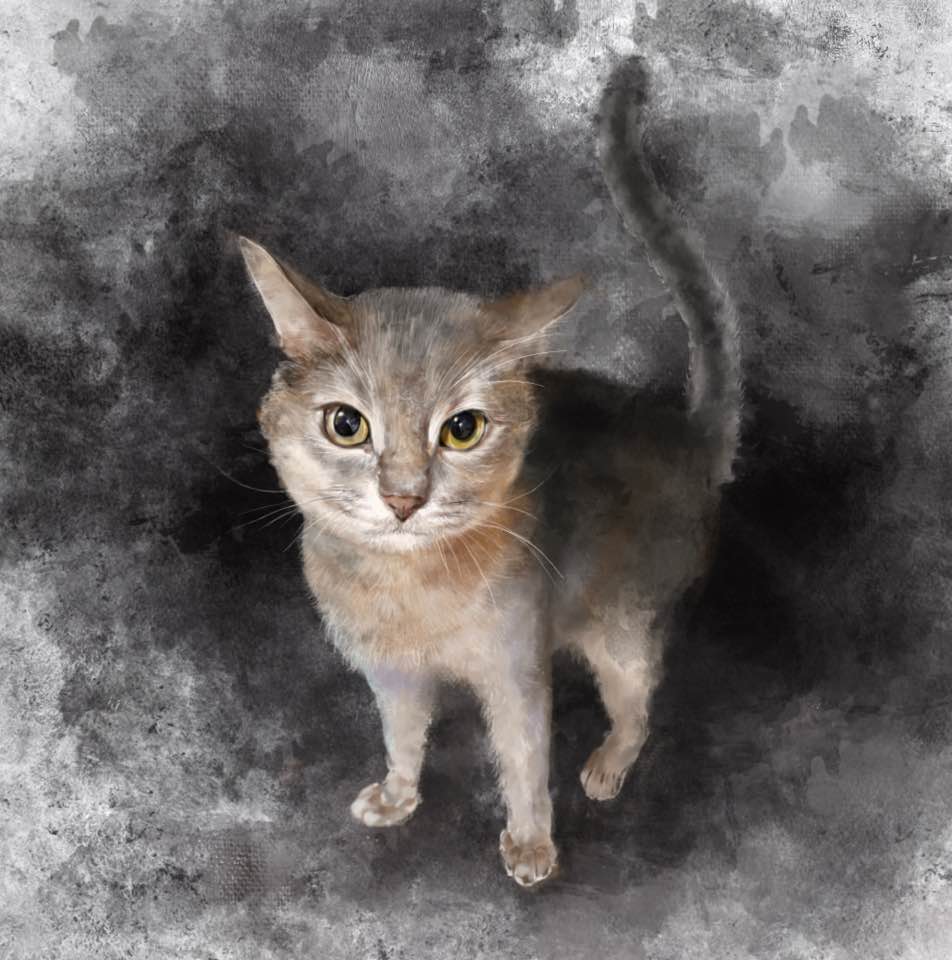 mellzzcraft's tweet photo. Another sample painting to be ready soon! One more week!!

#pet #portrait #pet_portrait #watercolor #etsy https://t.co/jQfrl7arzr