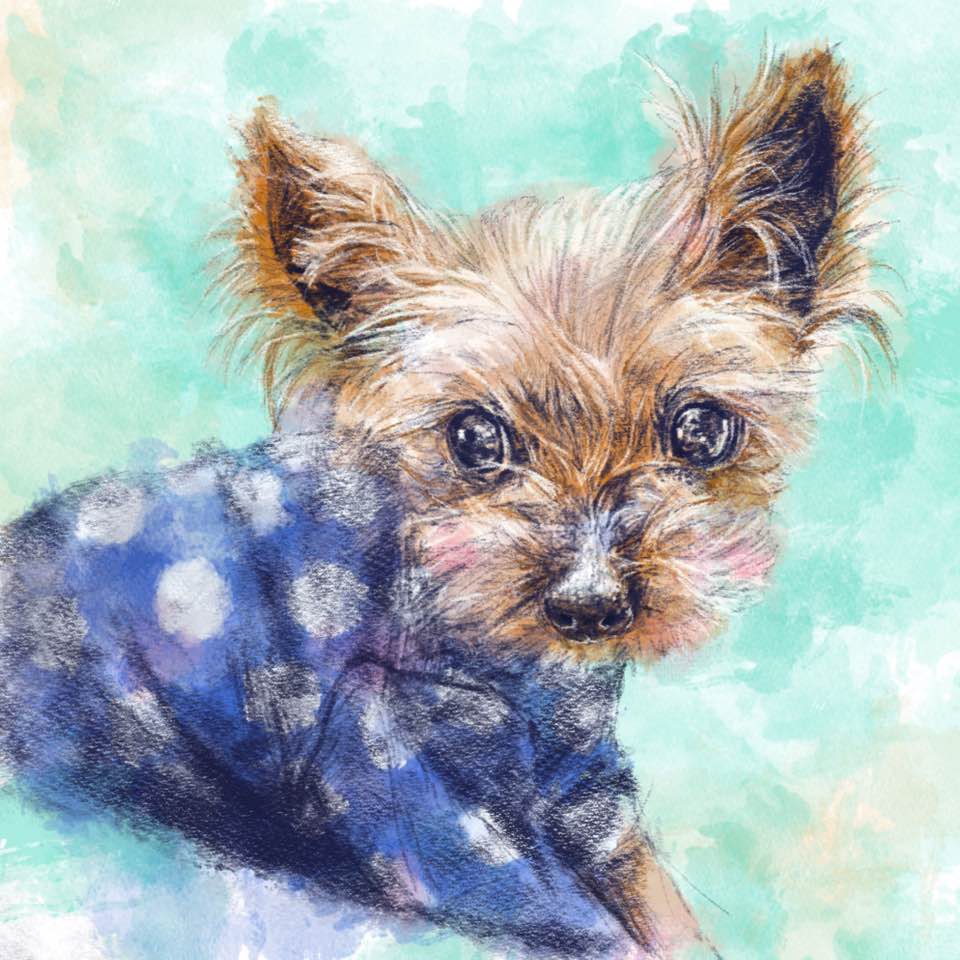 mellzzcraft's tweet photo. Another sample painting to be ready soon! One more week!!

#pet #portrait #pet_portrait #watercolor #etsy https://t.co/jQfrl7arzr