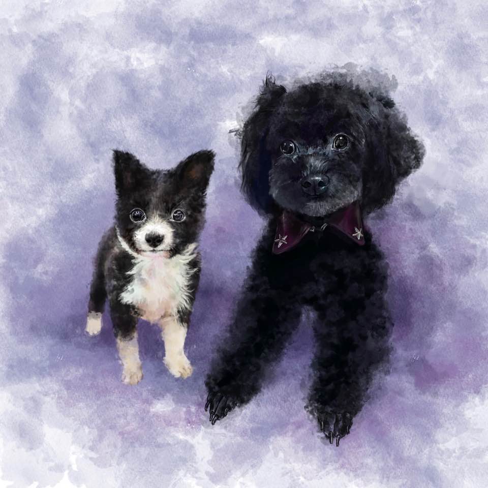 mellzzcraft's tweet photo. Another sample painting to be ready soon! One more week!!

#pet #portrait #pet_portrait #watercolor #etsy https://t.co/jQfrl7arzr