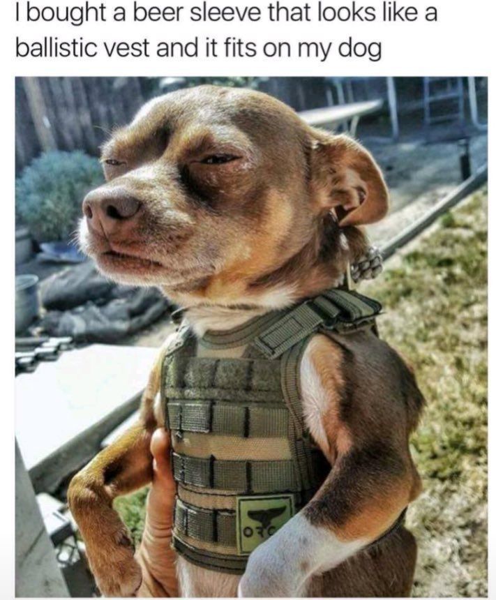 CauseWereGuys's tweet photo. This is still amazing 😂 https://t.co/hVBr4kHJYC