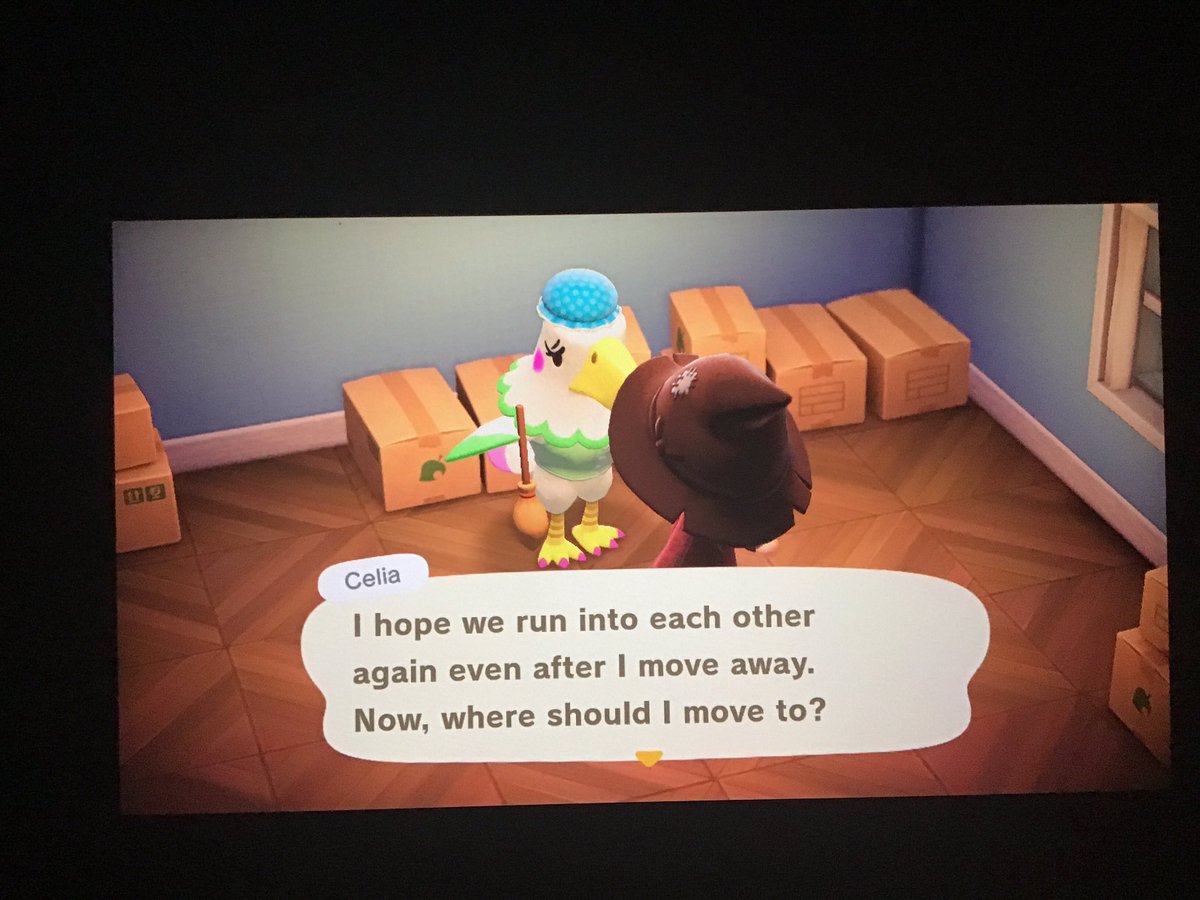 bbywisp's tweet photo. Our dear Celia is in boxes and I’d hate to see her leave into the void. Would anyone like her?
#villagerinboxes #villagertrade #villagersinboxes #AnimalCrossing #ACNH #NintendoSwitch #acnhvillagertrade #villagerinboxes #acnhinboxes #acnhtrades #acnhtrading #acnhvillagerinboxes https://t.co/F3Ubper52Z
