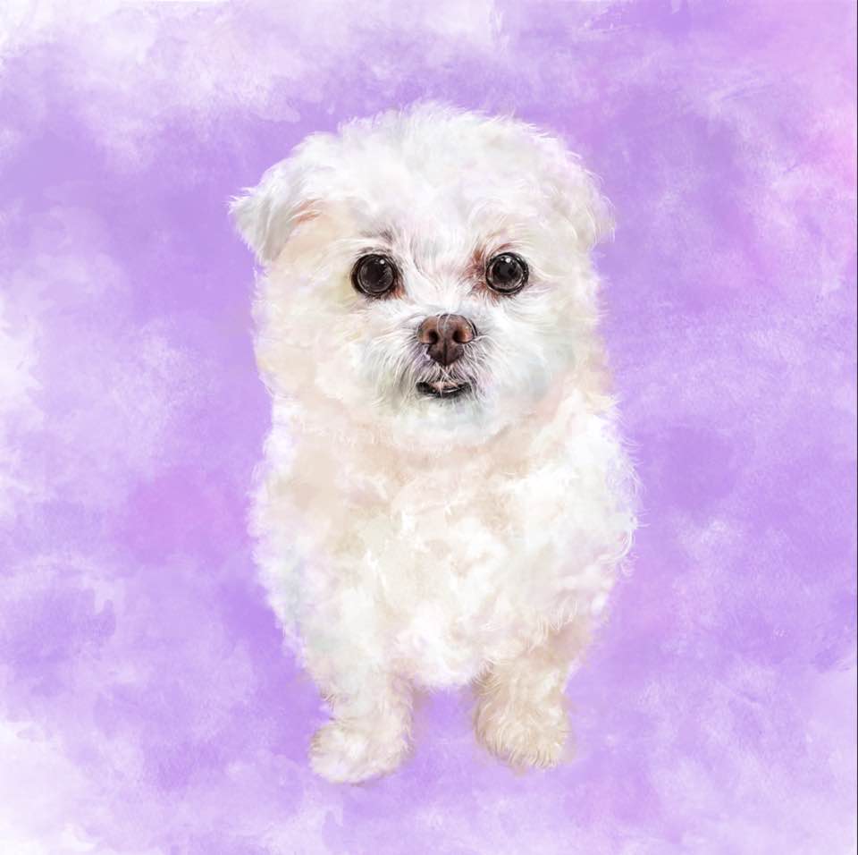 mellzzcraft's tweet photo. ONE MORE!!!!!!

It will open sooooooon!

#pet #portrait #pet_portrait #watercolor #etsy https://t.co/AINo5ynX8J