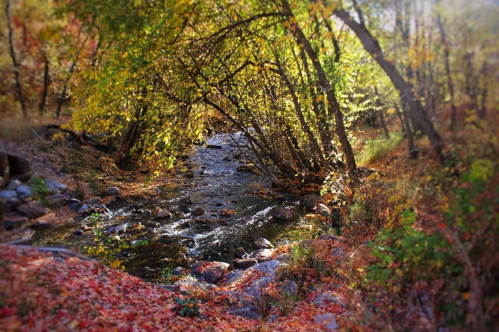 mrtheTrain's tweet photo. "Generosity is giving more than you can, and pride is taking less than you need."
Khalil Gibran
#quotes #generosity #fall #autumn #cachevalleyutah https://t.co/zZwZq4K80s