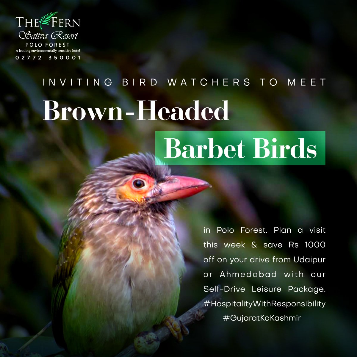 FernPoloForest's tweet photo. Try our exclusive stay package for the most exotic Bird watching experience.
Visit https://t.co/QZVLDQKCGK | call +91 02772 350001
#FernPolo #PoloForest #HospitalityWithResponsibility #Nature #NaturePhotography #Travel #BirdWatching #GujaratTourism #ForestTour #SafetyFirst https://t.co/r3bw6w1gB2