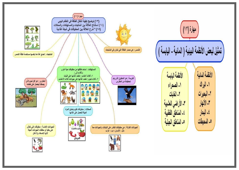 الضرب في مضاعفات 10 و 100 و 1000 للصف الرابع