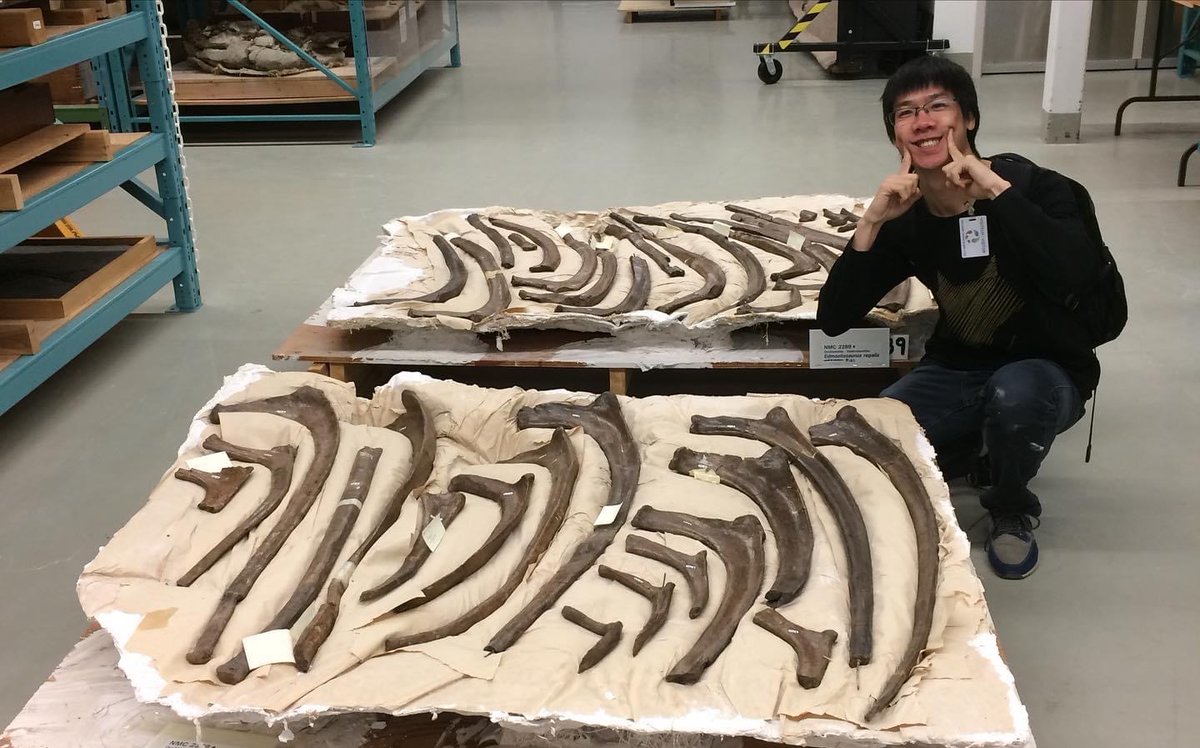 Philip J. Currie Dinosaur Museum tweet media