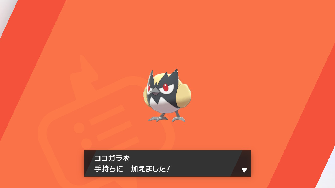 すみん ズバットに愛されすぎる 努力値振ってたらなんか出た キュロちゃんと名付けよう ポケモン剣盾 Nintendoswitch すみん ズバットに愛されすぎる 努力値振ってたらなんか出た キュロちゃんと名付けよう ポケモン剣盾 Nintendoswitch