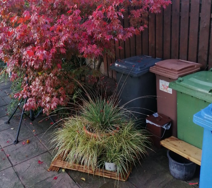 GrowWriteRepeat's tweet photo. Why on earth would I expose Twitter to the shame of using a picture of my... bins? Fear not, the Domestic Dump area has been upgraded to Looking Good. #smartbio #theresareason #sixonsaturday https://t.co/WfnuWpeGUC