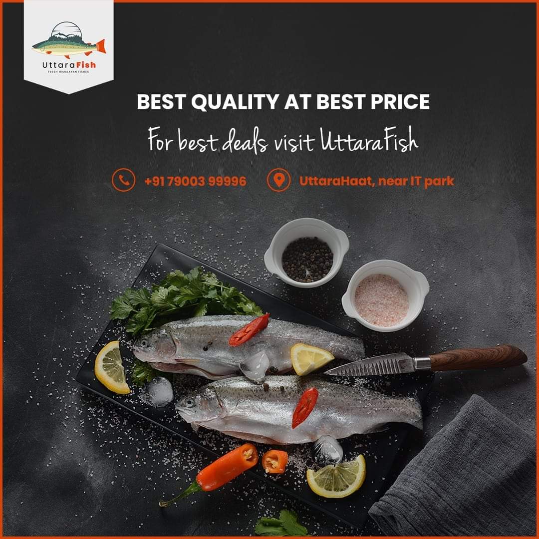 pashudhanUK's tweet photo. Variety of preservative-free, nutrient-rich freshwater fish at the best price. Call to order from UttaraFish.
#ILoveFish #HimalayanFish #RohuFish #CatlaFish #PangasFish #RainbowTrout #Dehradun
@FisheriesGoI @Himalayantrout @epashupalan https://t.co/QqaSeXSRDJ