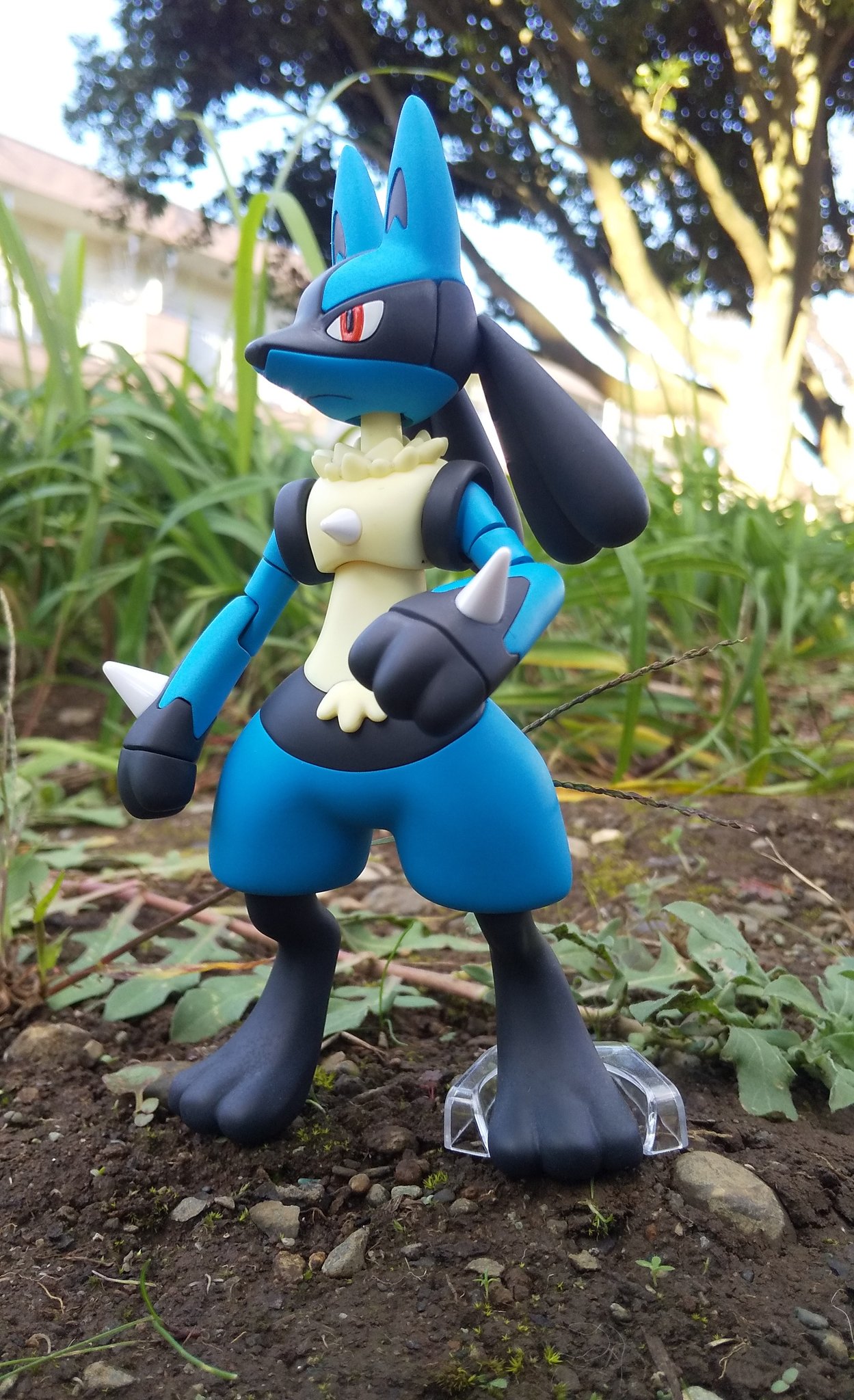 ふらっと狂三郎 ポケプラ ルカリオ リオル 久々の晴天なので野生ポケモンっぽく外で撮影 近所の方に苦笑いされつつ蚊に刺されつつ足を痛めつつ ルカリオ ｘｙでお世話になったなぁ ポケモン ポケプラ プラモデル ルカリオ T Co