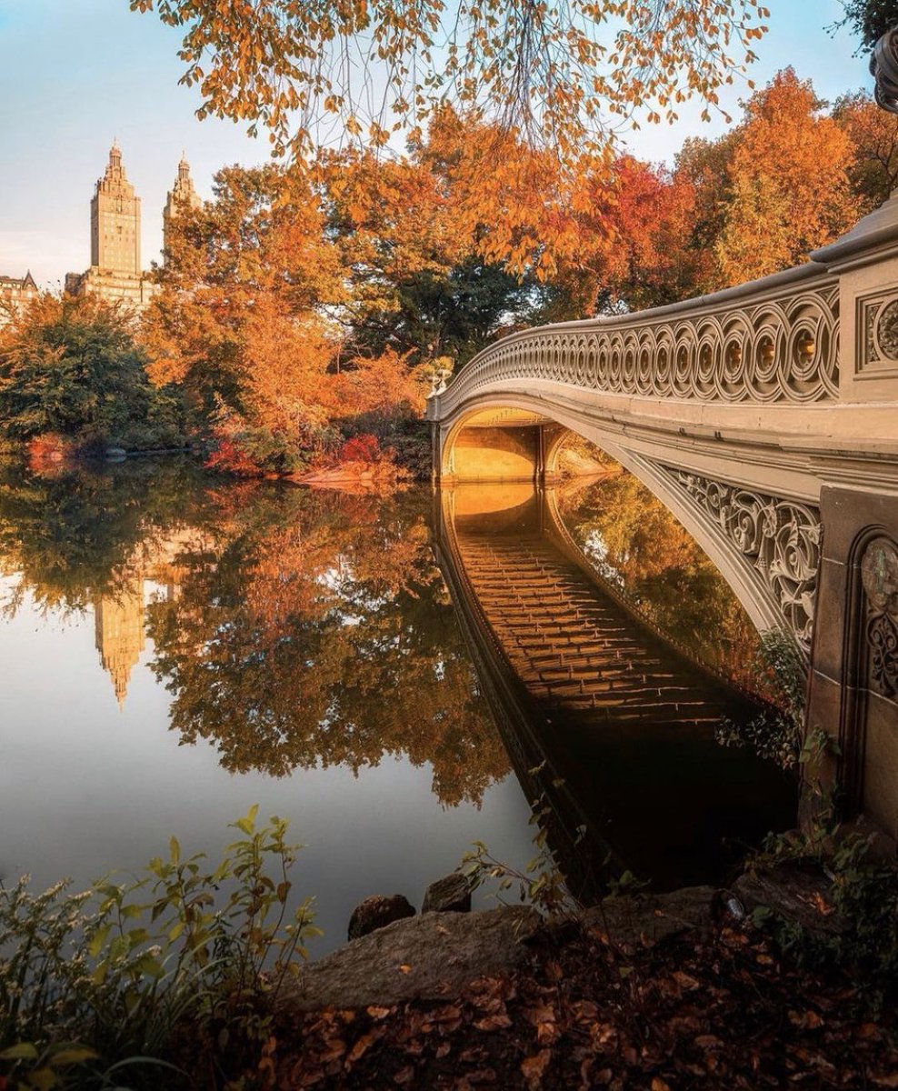 Have a great weekend. #teamifg #attitudeofgratitude #SaturdayVibes