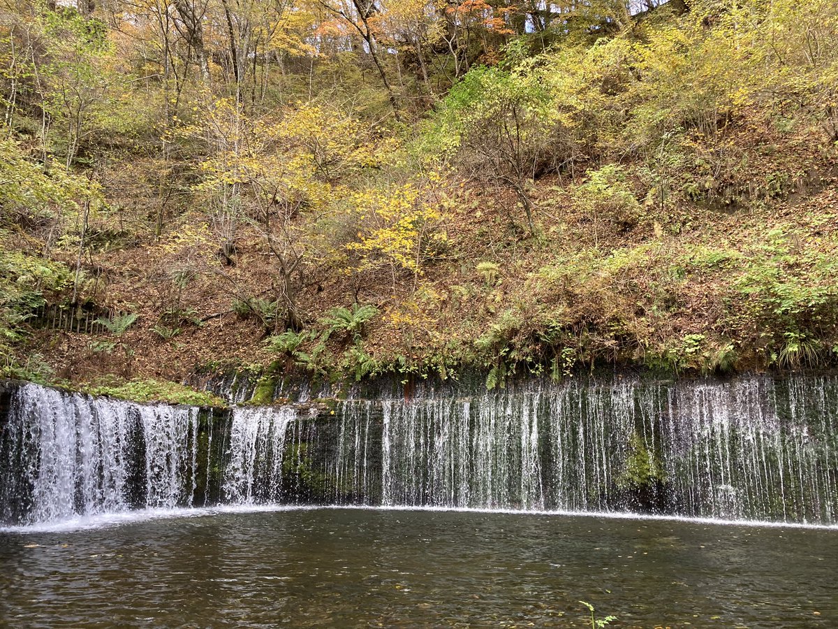 Abejiro 軽井沢は紅葉見頃ですね 白糸の滝 キレイでした 峠の茶屋側から白糸ハイランドウェイで行ったのですが 旧軽井沢 側へ抜ける道すがら 木々が黄色く紅葉しててキレイでした