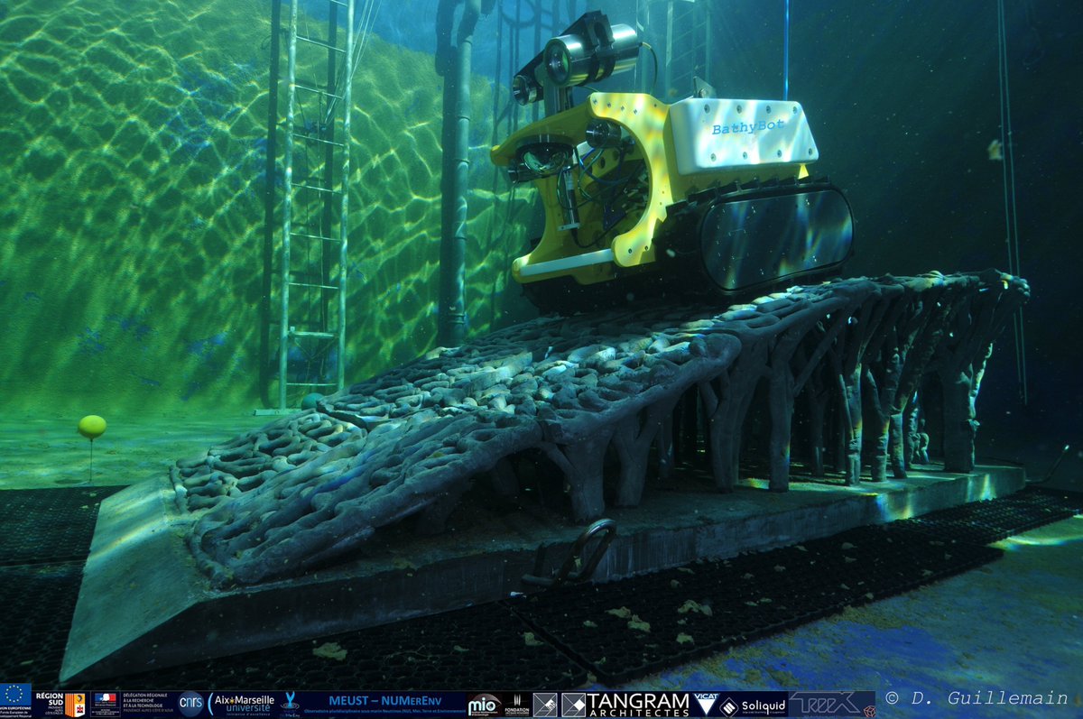 c_tambu's tweet photo. Next step: connection of the Scientific Junction Box (BJS - @Ifremer_fr), the Biocam, the @CPPMLuminy radiometer, the @umrGeoazur sismometer and the deep-sea crawler #BathyBot and #BathyReef @MIOceanologie, @OsuPytheas, @INSU_CNRS. Hope this coming soon #FOF https://t.co/ouPz75Wrbo