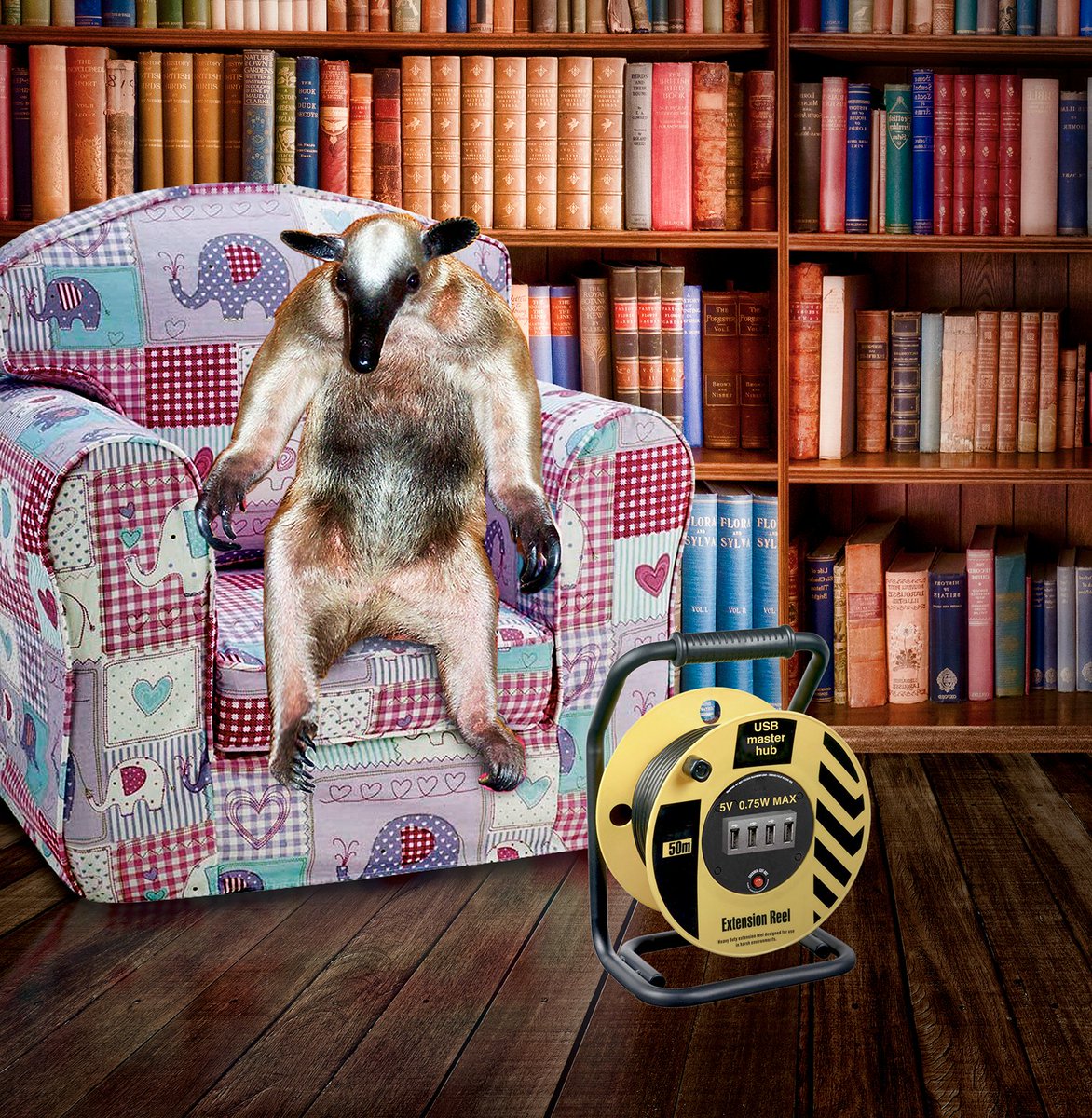 WVermilingua's tweet photo. My New Dad is a bit* disappointed...
* very ☹️
https://t.co/pSO9lYJMrB
#animalsoffacebook #anteatersofinstagram #internetanimals #cuteanimals #onlineanteaters #anteater #animalsofinstagram #IGanimals #5volt #lowvoltage #GreenEnergy #disappointed #DangerOfDeath #AntAdventures https://t.co/9jIkyxvtxk