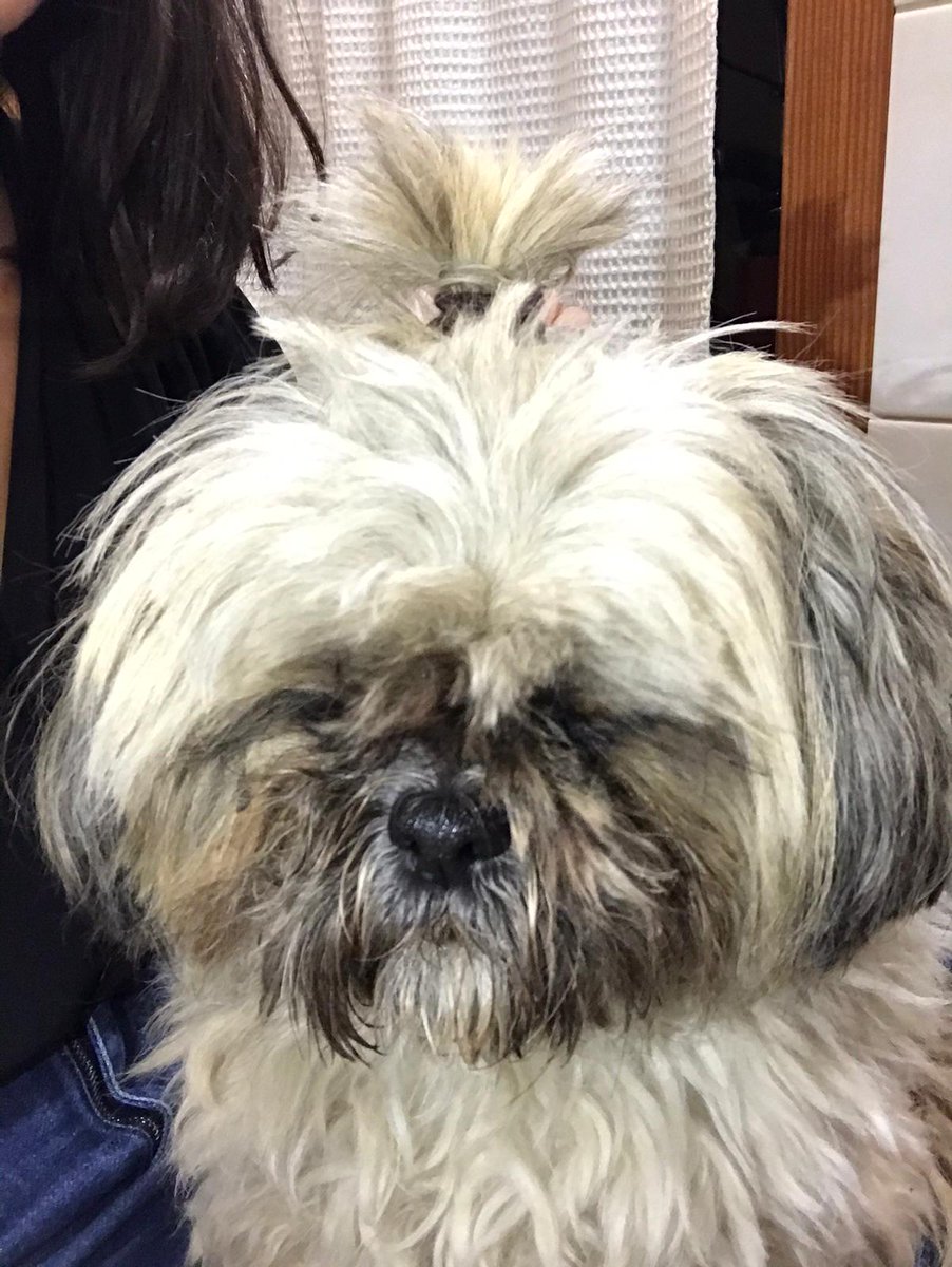 C_mrmt's tweet photo. In this house we love cookie https://t.co/pX9b8UV99r