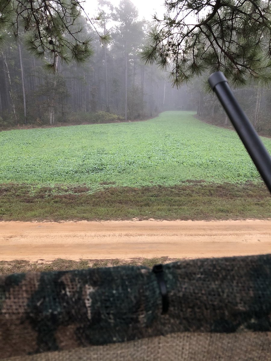 walkermckay's tweet photo. Beautiful Saturday morning sit.
@WeHuntSC #richlandcounty https://t.co/6Ew5h44sWF