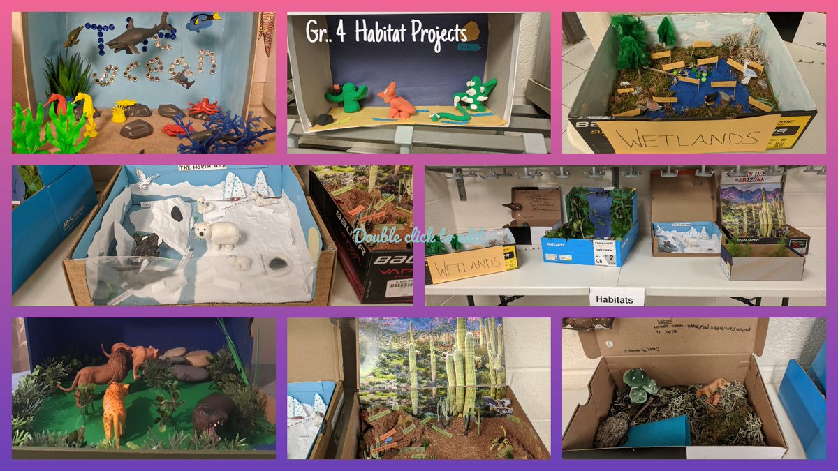 KrugerClass's tweet photo. Outstanding work from the Grade 4's yet again! @StMatthew_CES @laurasawicky👏🐾👏 https://t.co/WcT5hNpUsq