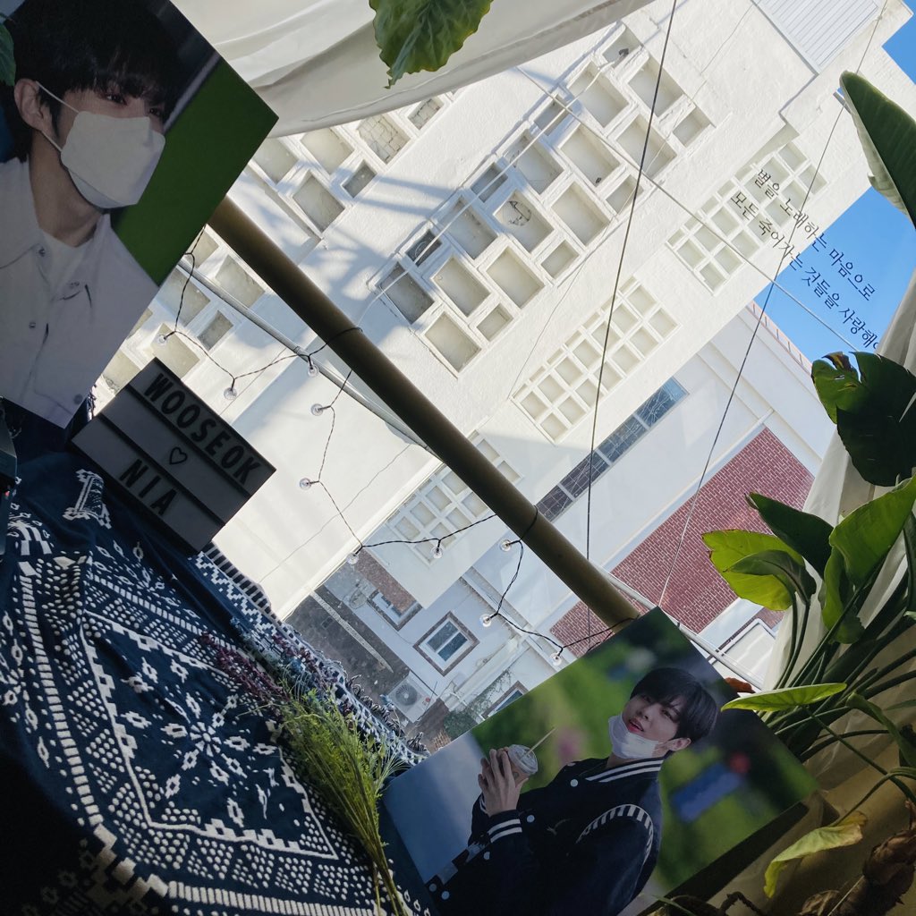 짤랑자몽🍊 tweet media