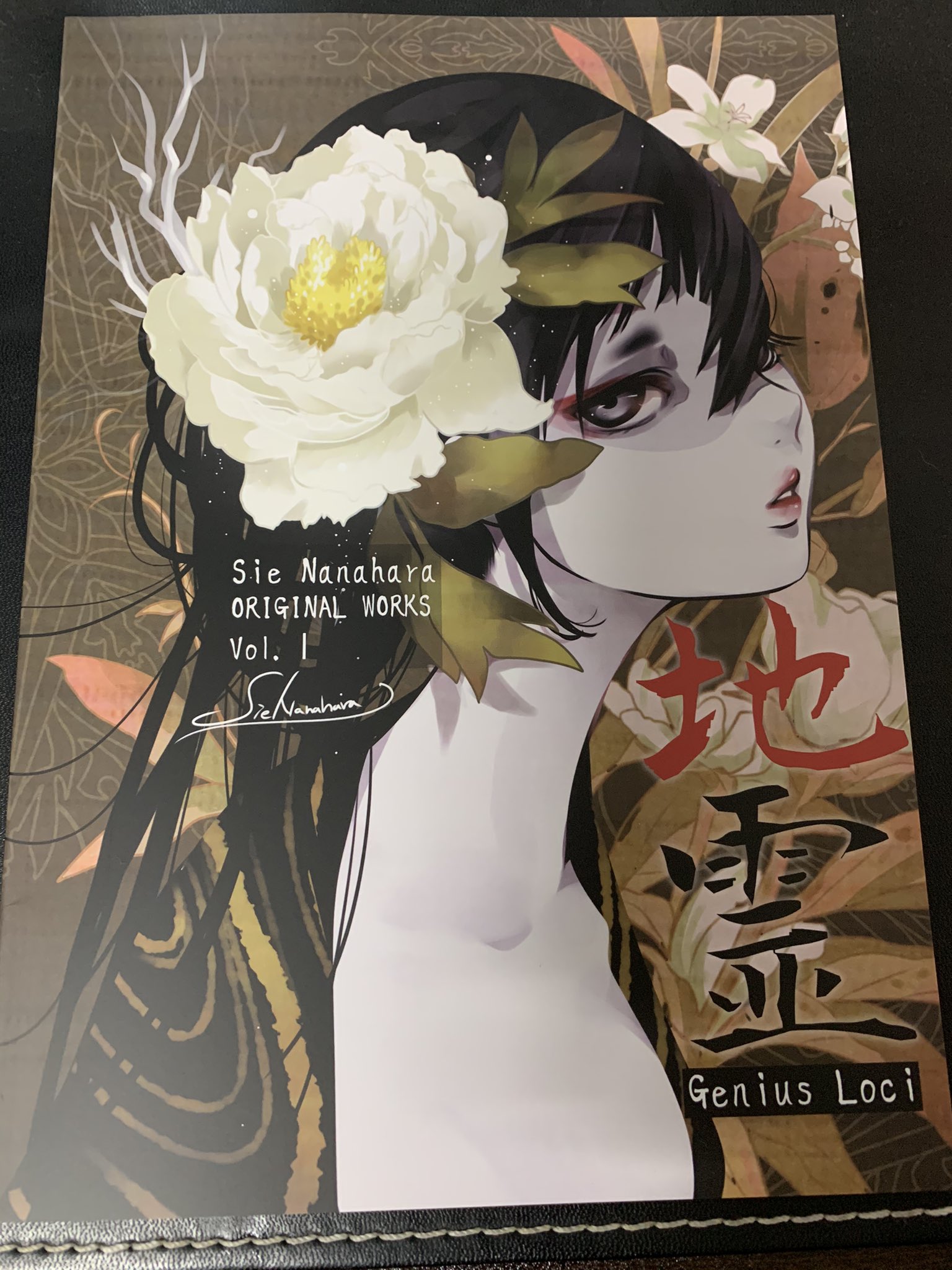 阿泉来堂 A Twitter Boothで購入した七原しえさんのイラスト集が届く 先日 何気なく購入した 美しい情景イラストレーション ダークファンタジー編 に七原さんのイラストが掲載されており 勝手に運命を感じてポチリ 幻想的かつ美麗なイラストの中に確かに息づく