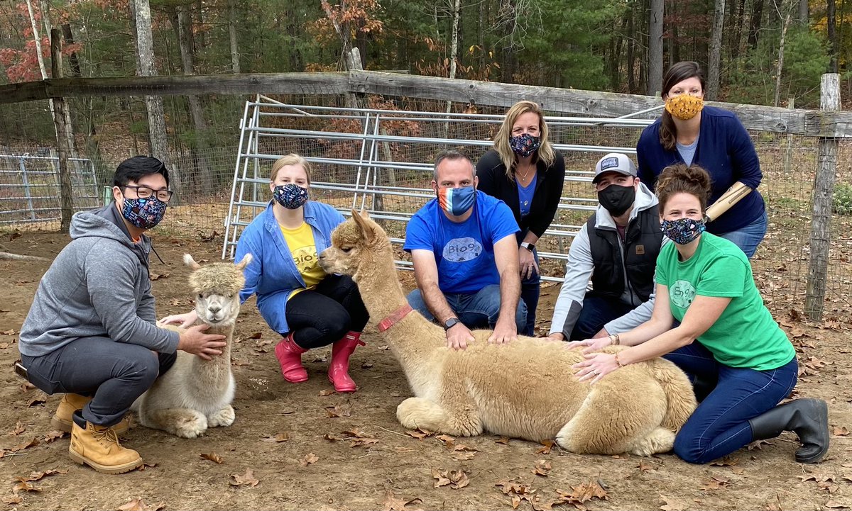 feguerl's tweet photo. This week’s PHENOMenal Friday! Alpacas... with Elaine Gerber from Woodland Meadow Farms was wonderful enough to introduce our students to these unique animals. She will be seen speaking on other videos, but we all learned so much! https://t.co/nuotTF1lPA