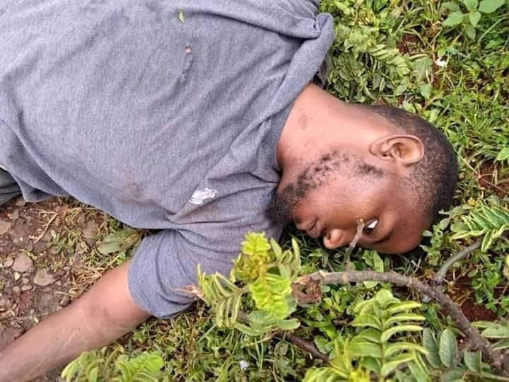 FelmetaSeba's tweet photo. Yesterday, October 23,2020 in Nekemte City Ethiopia, @AbiyAhmedAli  police and military forces have killed 5 innocent young men. They were taken out of their house and killed in a broud daylight. 

@hrw
@amnesty
@BBCWorld
@washingtonpost https://t.co/pe5IFlnrrv
