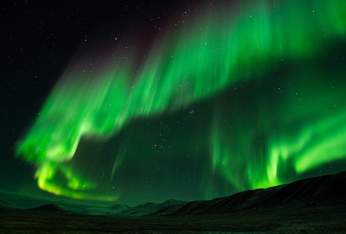 svalbardcameras's tweet photo. With Northern Lights season well underway in Svalbard, we have everything you need to capture them! This was taken using our Sony Alpha A9 and Zeiss 18mm 👉
Check out the link in our bio to see all our cameras, lenses and accessories for Aurora photography! https://t.co/Ffzplyape7