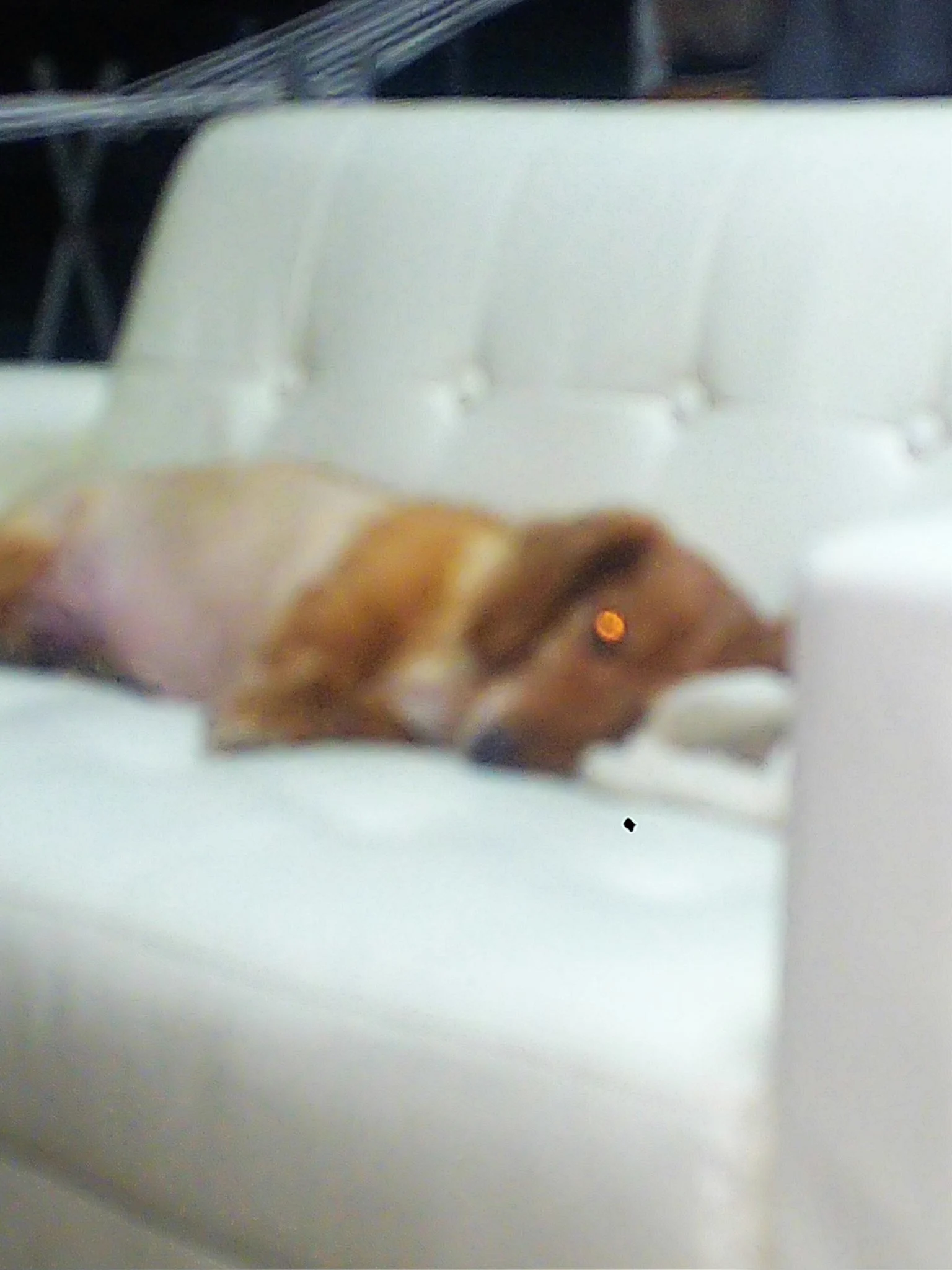 @lolisize 家のは懐中電灯付きです。 