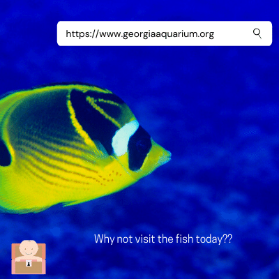 ttnycna's tweet photo. Let's take a trip! Can't wait to visit in person. 

#virtual #aquarium https://t.co/MDMa9VxWid https://t.co/LlGEV3IjhP
