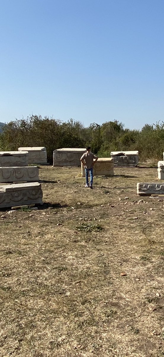 Can Özsüer tweet media