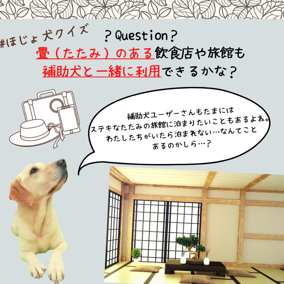 O Xrhsths 木村佳友 Sto Twitter 日本補助犬情報センターの ほじょ犬クイズ16 を 介助犬 シンシア日記 にも登録しました 今回のクイズは 畳のある飲食店や旅館 補助犬と利用できるの です クイズに挑戦してください T Co 5ybmguwztt