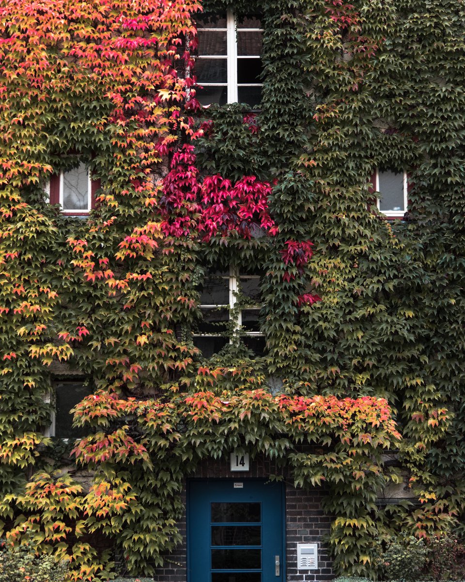 mischaheuer's tweet photo. The colors of autumn in Berlin. https://t.co/skyuw7mmOa